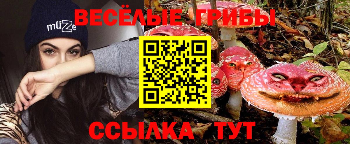 Комсомольск-на-Амуре  Псилоцибиновые грибы мухоморы  Вход с VPN 